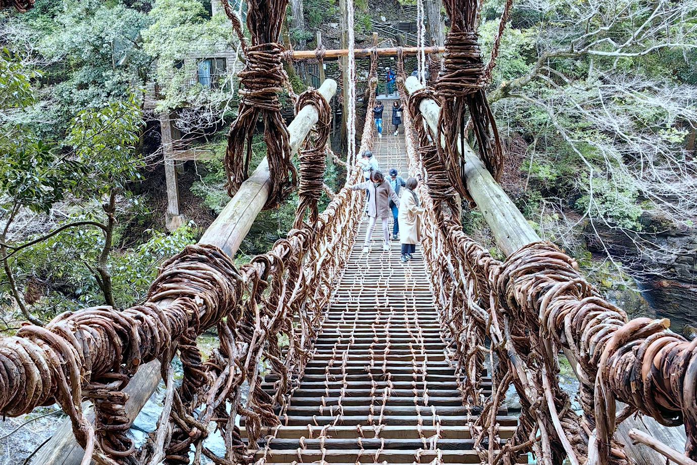 德島-祖谷藤蔓吊橋